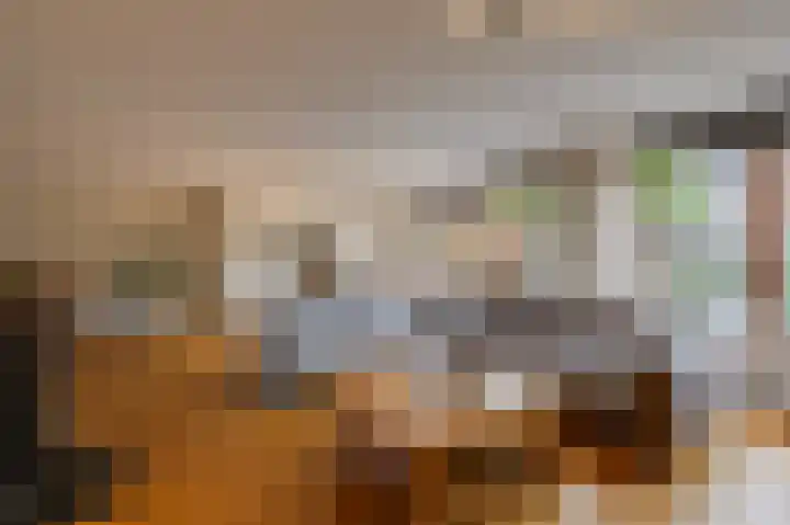 De Rosmolen 138 Westervoort thumbnail 11