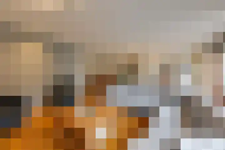 De Rosmolen 138 Westervoort thumbnail 14