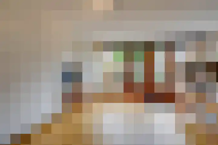 De Rosmolen 138 Westervoort thumbnail 15