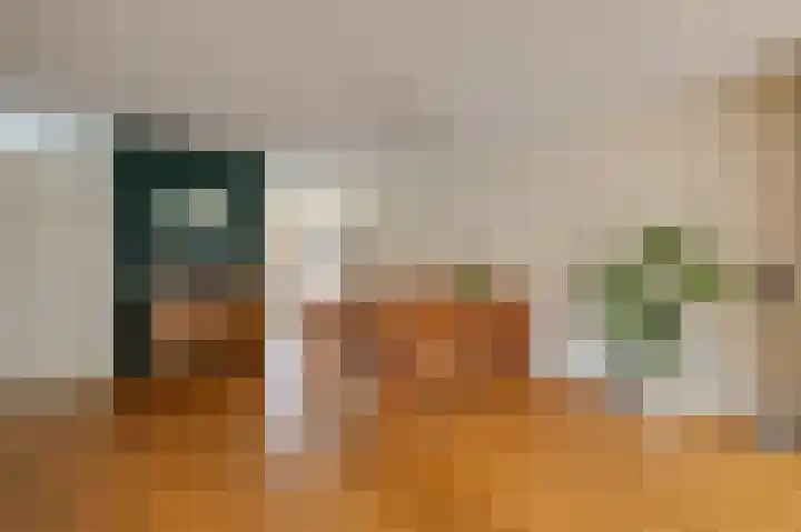 De Rosmolen 138 Westervoort thumbnail 16
