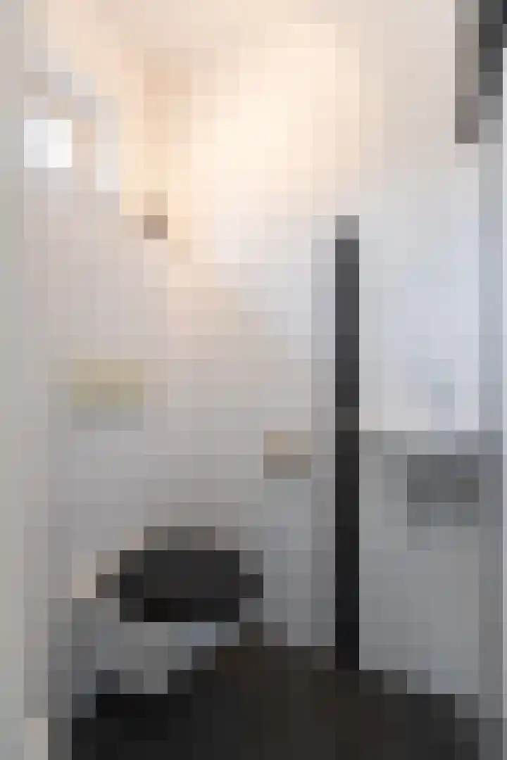 De Rosmolen 138 Westervoort thumbnail 23