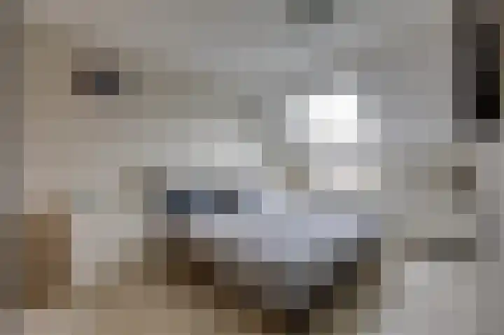 De Rosmolen 138 Westervoort thumbnail 30