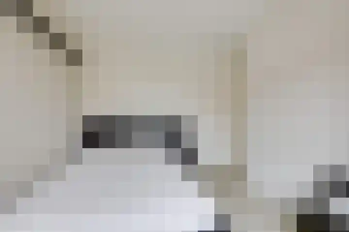 De Rosmolen 138 Westervoort thumbnail 33