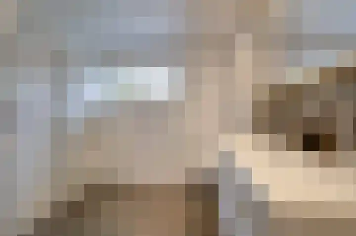 De Rosmolen 138 Westervoort thumbnail 36