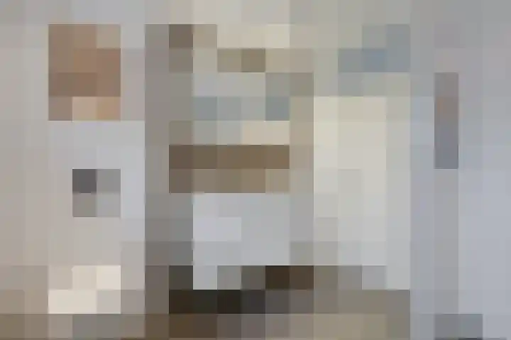 De Rosmolen 138 Westervoort thumbnail 37