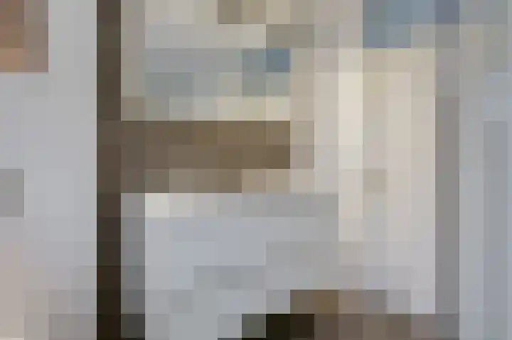 De Rosmolen 138 Westervoort thumbnail 38