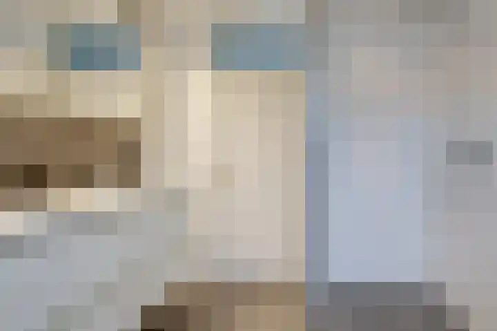De Rosmolen 138 Westervoort thumbnail 39