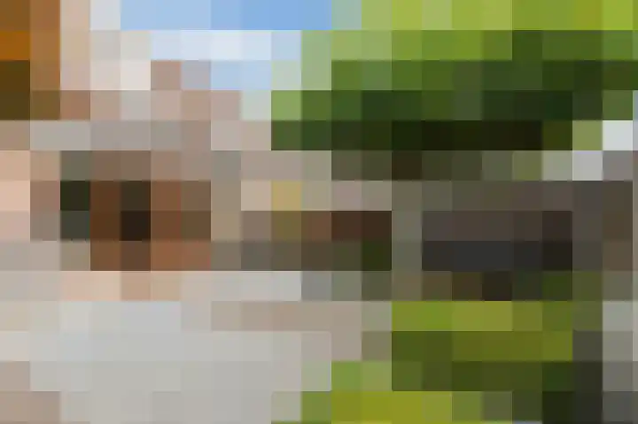 De Rosmolen 138 Westervoort thumbnail 48