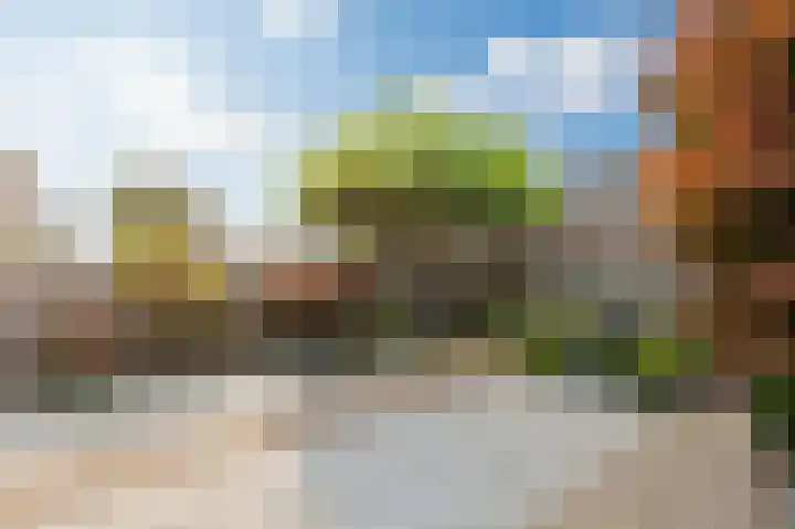 De Rosmolen 138 Westervoort thumbnail 51