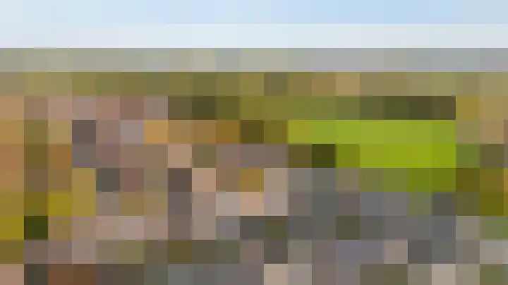De Rosmolen 138 Westervoort thumbnail 56