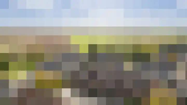 De Rosmolen 138 Westervoort thumbnail 59