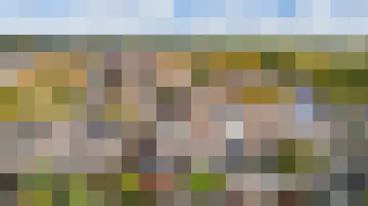 De Rosmolen 138 Westervoort thumbnail 60