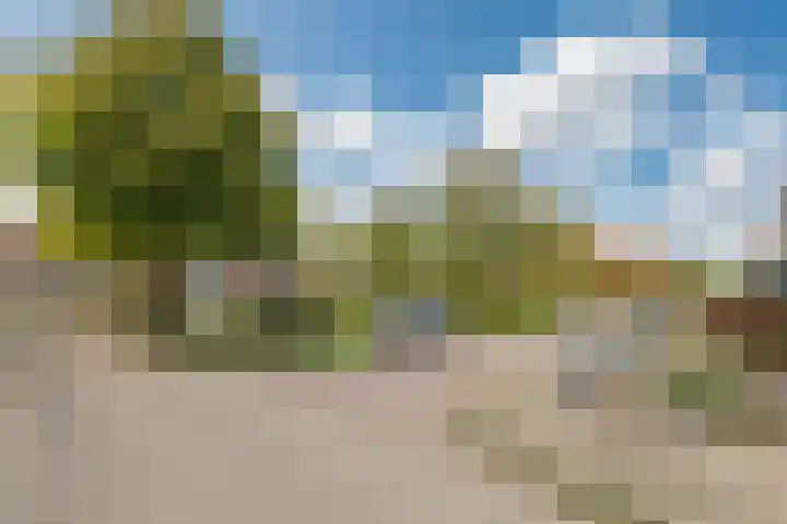 De Rosmolen 138 Westervoort thumbnail 61