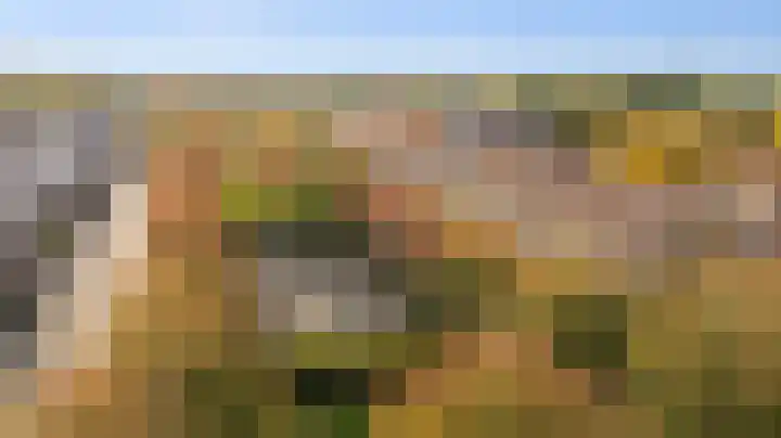 De Rosmolen 138 Westervoort thumbnail 64