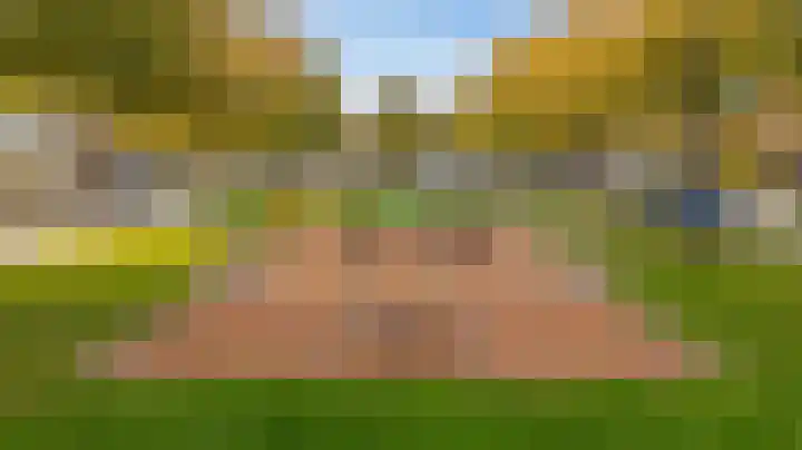De Rosmolen 138 Westervoort thumbnail 66