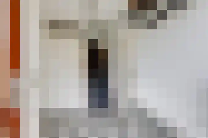 De Rosmolen 138 Westervoort thumbnail 8