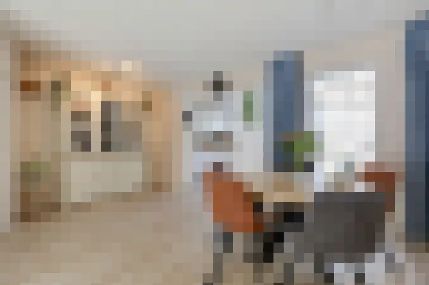 De Rosmolen 161 Westervoort thumbnail 17