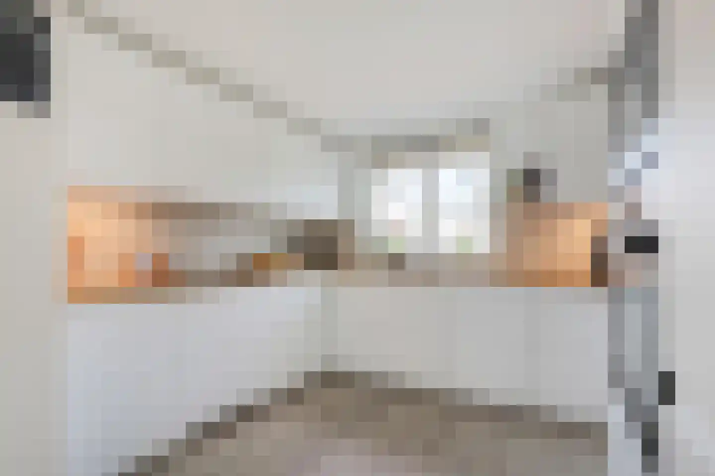 De Rosmolen 161 Westervoort thumbnail 19