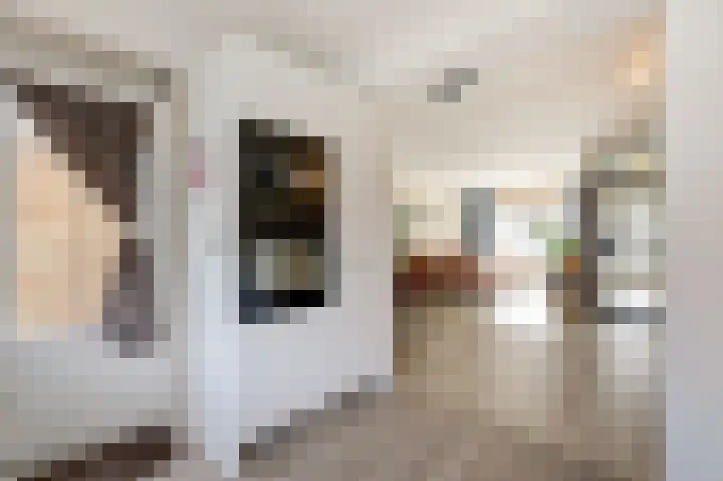 De Rosmolen 161 Westervoort thumbnail 21