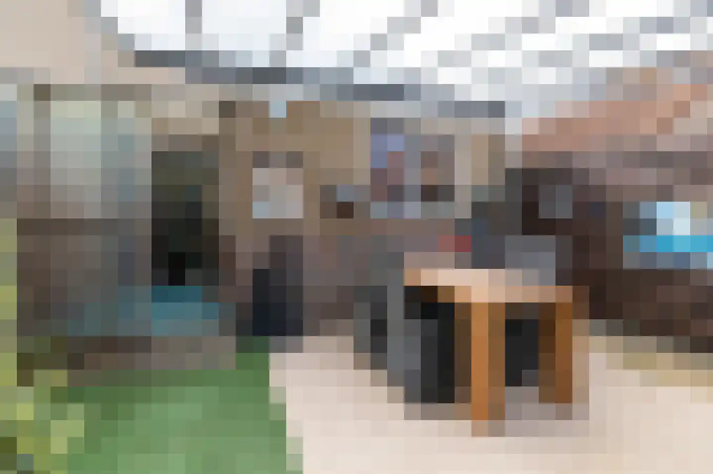 De Rosmolen 161 Westervoort thumbnail 37