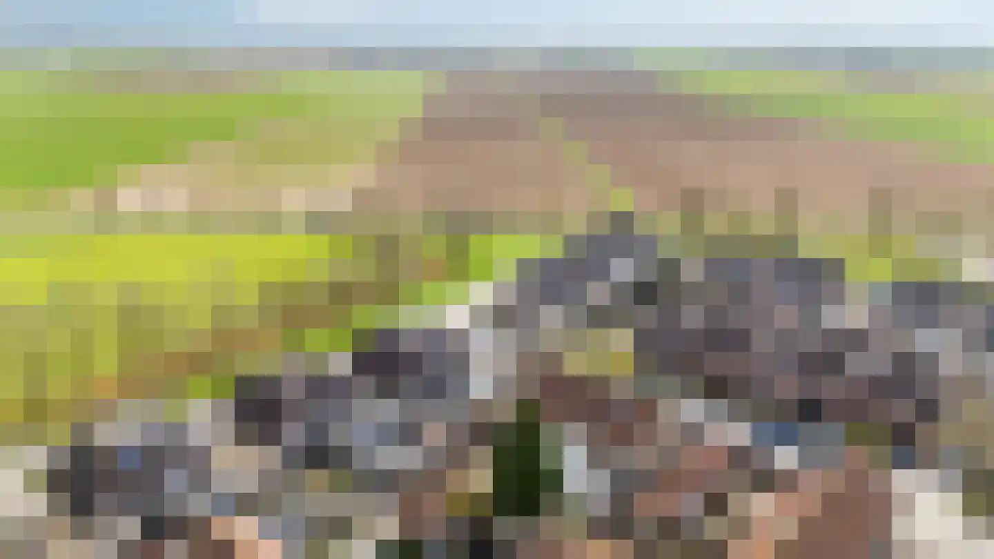 De Rosmolen 161 Westervoort thumbnail 4