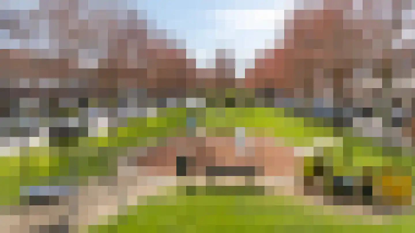 De Rosmolen 161 Westervoort thumbnail 46