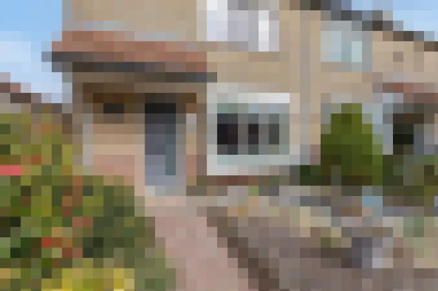 De Rosmolen 161 Westervoort thumbnail 5