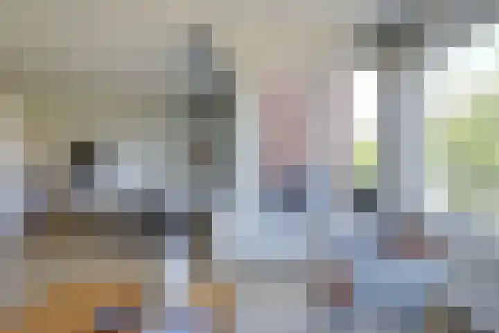 De Rosmolen 23 f Westervoort thumbnail 12