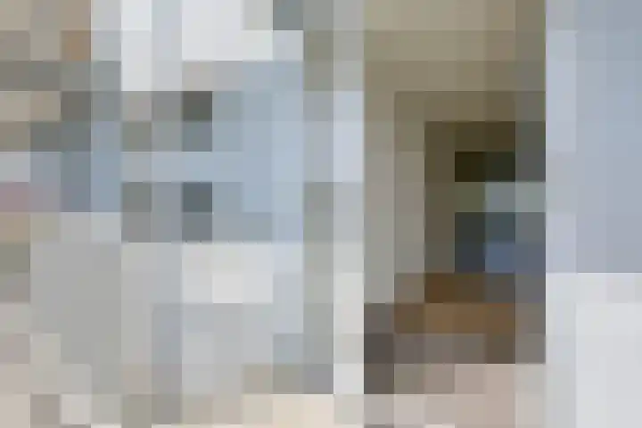 De Rosmolen 23 f Westervoort thumbnail 8