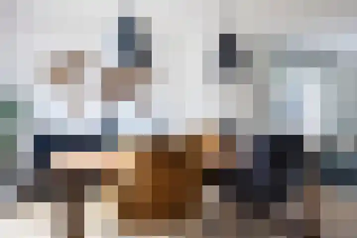 De Rosmolen 38 Geffen thumbnail 13