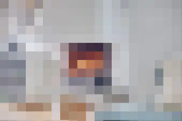 De Rosmolen 38 Geffen thumbnail 16