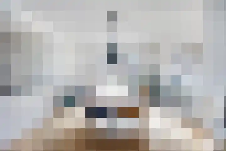 De Rosmolen 38 Geffen thumbnail 17