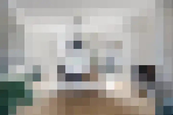 De Rosmolen 38 Geffen thumbnail 18