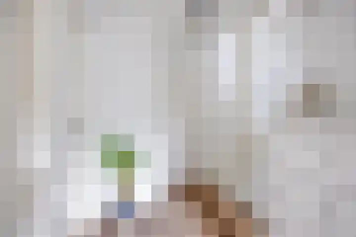 De Rosmolen 38 Geffen thumbnail 20