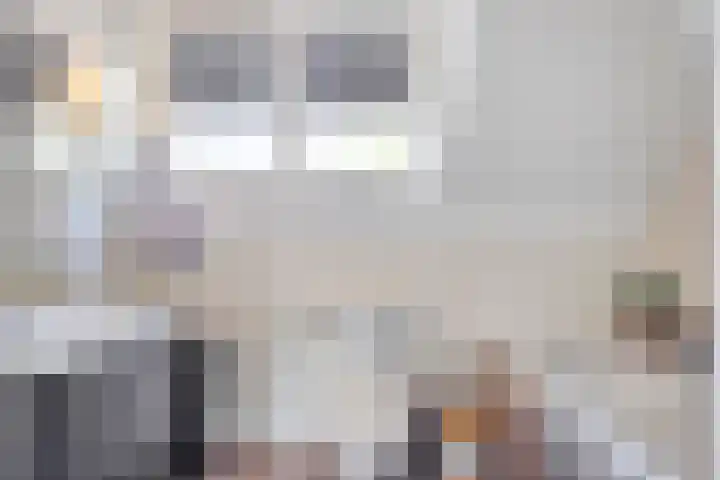 De Rosmolen 38 Geffen thumbnail 27