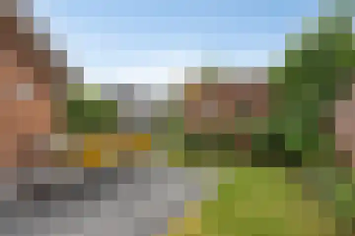 De Rosmolen 38 Geffen thumbnail 34
