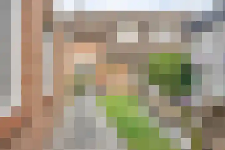 De Rosmolen 38 Geffen thumbnail 40