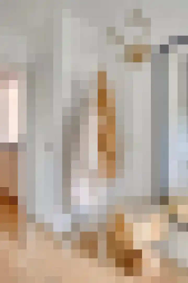 De Rosmolen 38 Geffen thumbnail 5