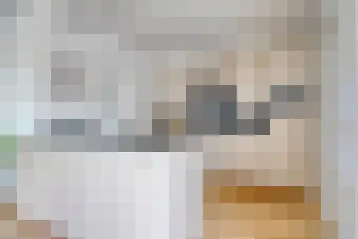 De Rosmolen 38 Geffen thumbnail 7