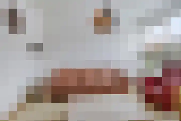 De Roterij 22 Bedum thumbnail 12