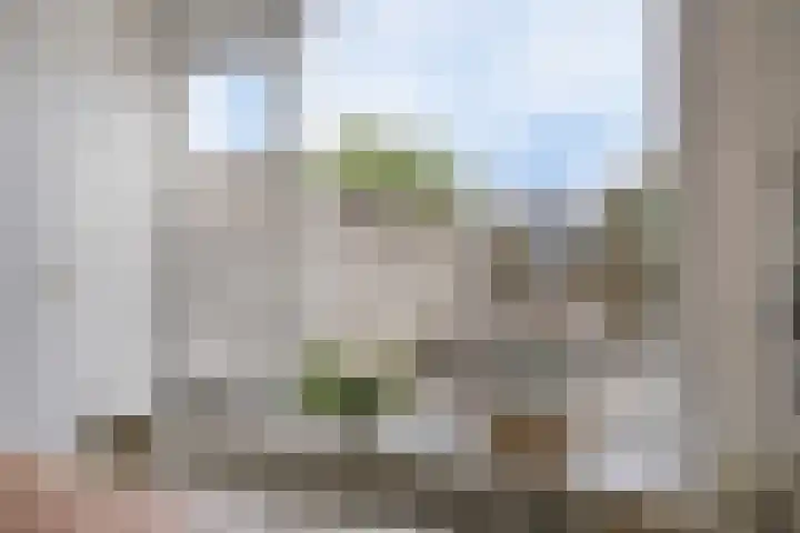 De Roterij 22 Bedum thumbnail 15