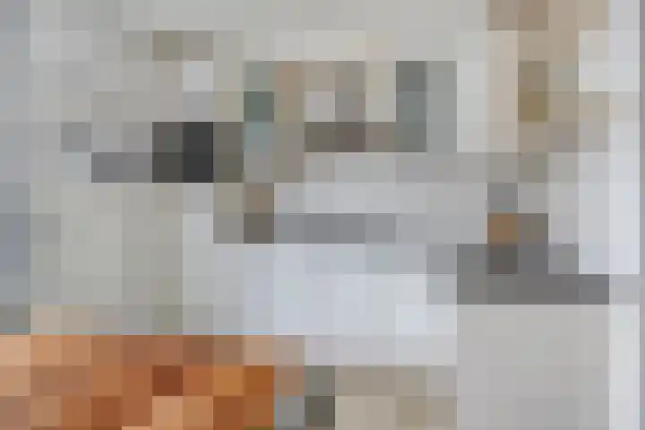 De Roterij 22 Bedum thumbnail 17
