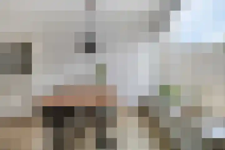 De Roterij 22 Bedum thumbnail 20