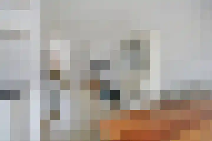 De Roterij 22 Bedum thumbnail 21