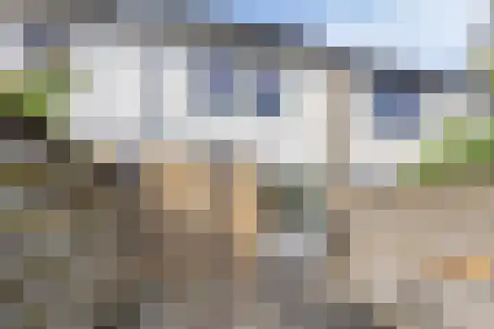 De Roterij 22 Bedum thumbnail 36