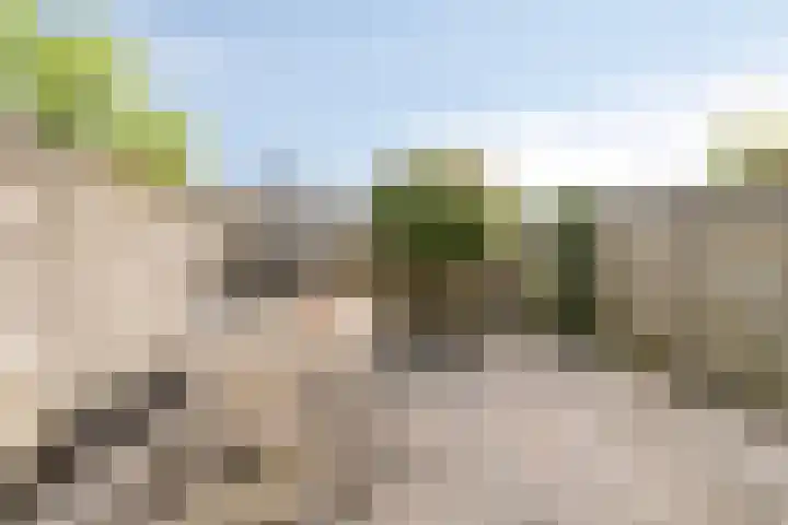 De Roterij 22 Bedum thumbnail 37