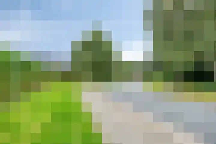 De Roterij 22 Bedum thumbnail 41