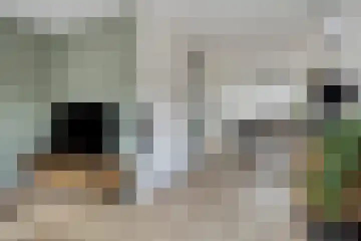 De Roterij 24 Bedum thumbnail 17