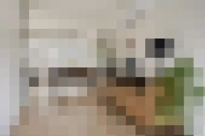 De Roterij 24 Bedum thumbnail 18
