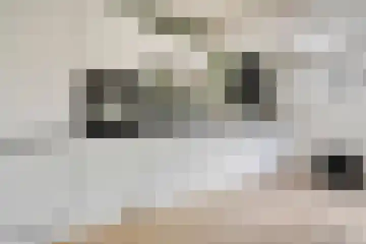 De Roterij 24 Bedum thumbnail 20